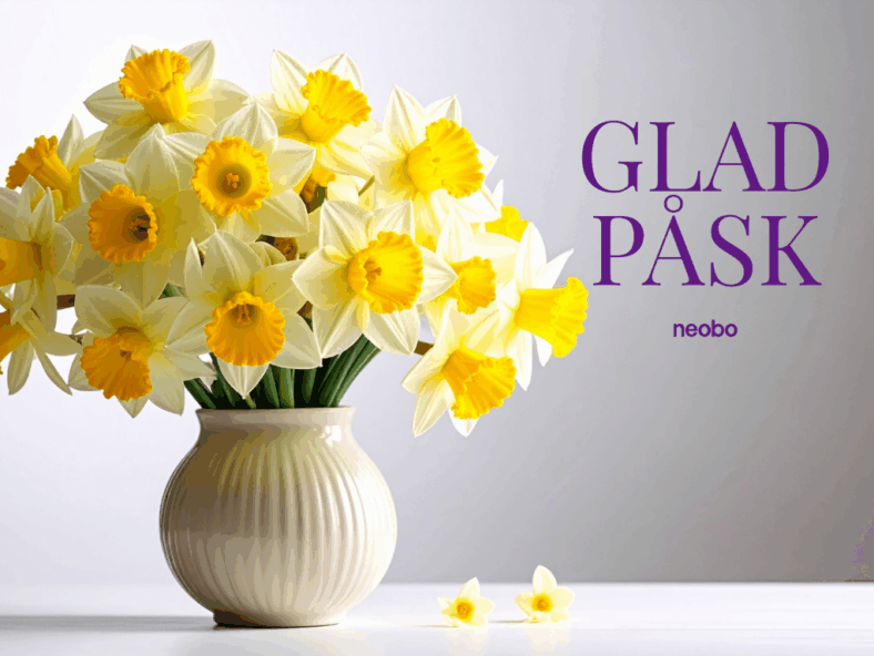 Neonytt (Presentation (43))